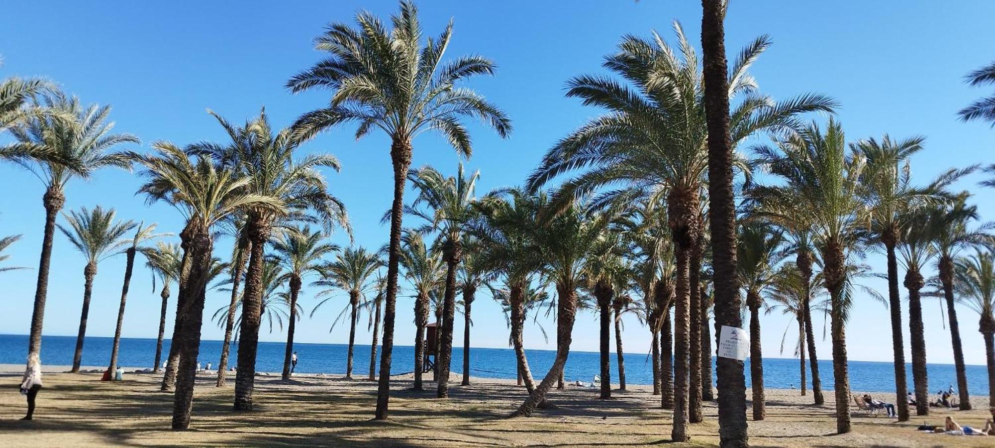 Torremolinos:appartement Avec Piscine Et Terrasse Torremolinos