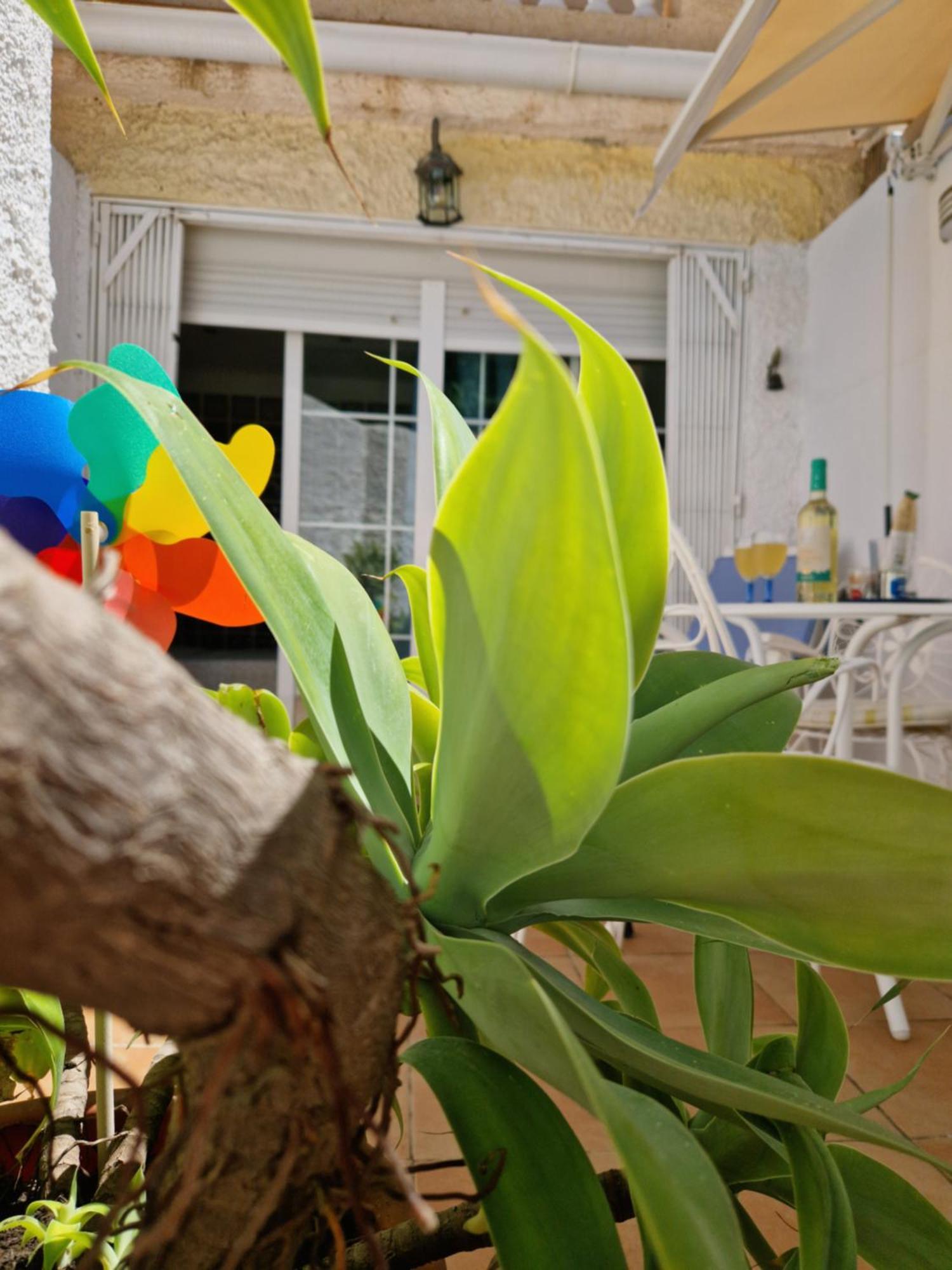 Appartement Torremolinos:appartement Avec Piscine Et Terrasse *