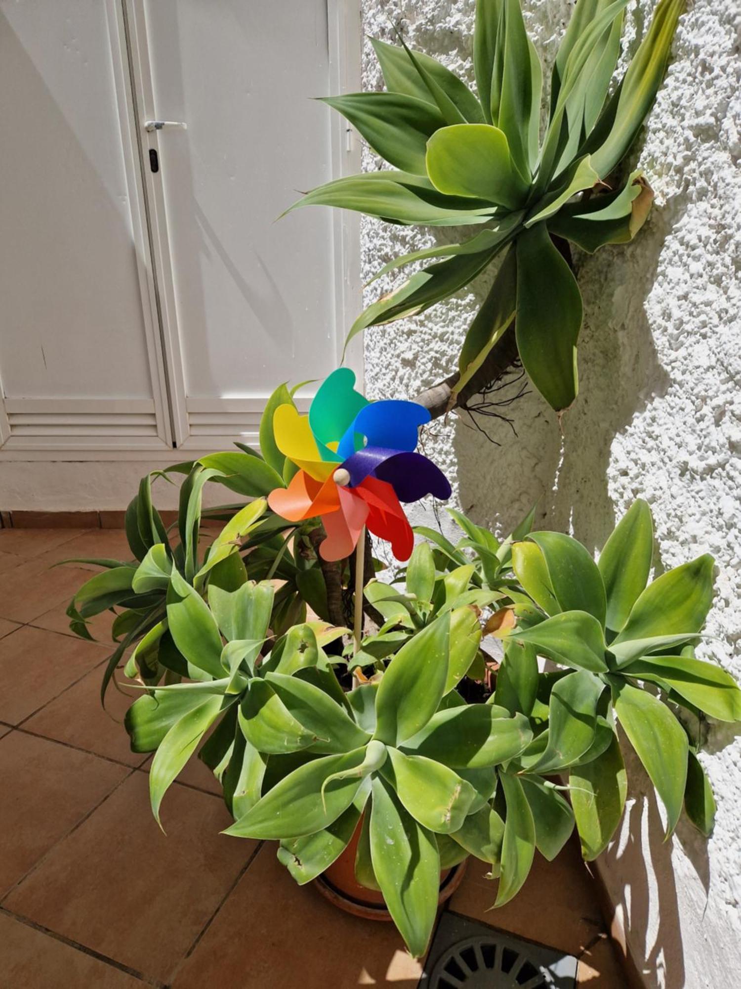 Torremolinos:appartement Avec Piscine Et Terrasse *